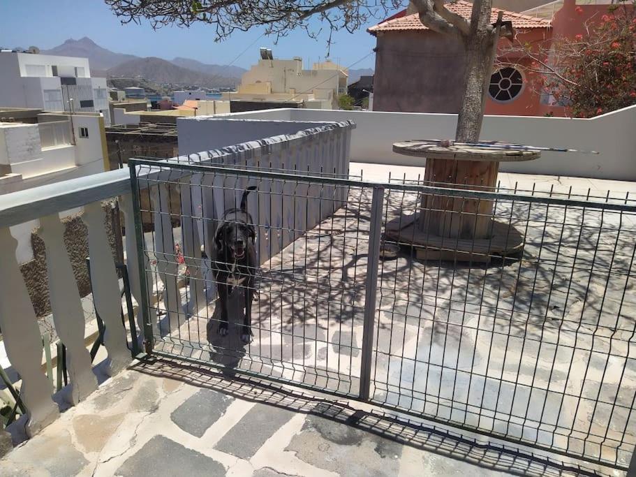 Vivenda Com Patio, No Coracao Do Mindeloヴィラ エクステリア 写真